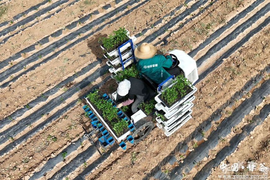 4.jpg 4.jpg